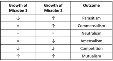 Possible outcomes of microbe-microbe co-culture